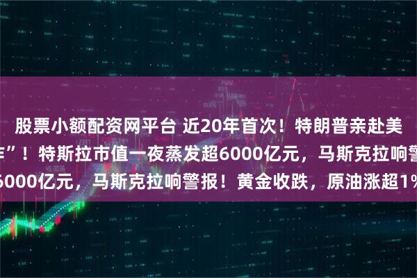 股票小额配资网平台 近20年首次！特朗普亲赴美联储放话：“这是大动作”！特斯拉市值一夜蒸发超6000亿元，马斯克拉响警报！黄金收跌，原油涨超1%