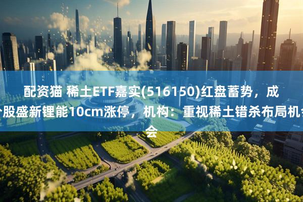 配资猫 稀土ETF嘉实(516150)红盘蓄势，成分股盛新锂能10cm涨停，机构：重视稀土错杀布局机会